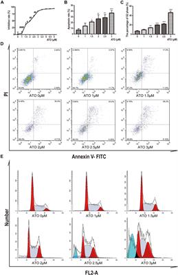 Genetic Expression Screening of Arsenic Trioxide-Induced Cytotoxicity in KG-1a Cells Based on Bioinformatics Technology